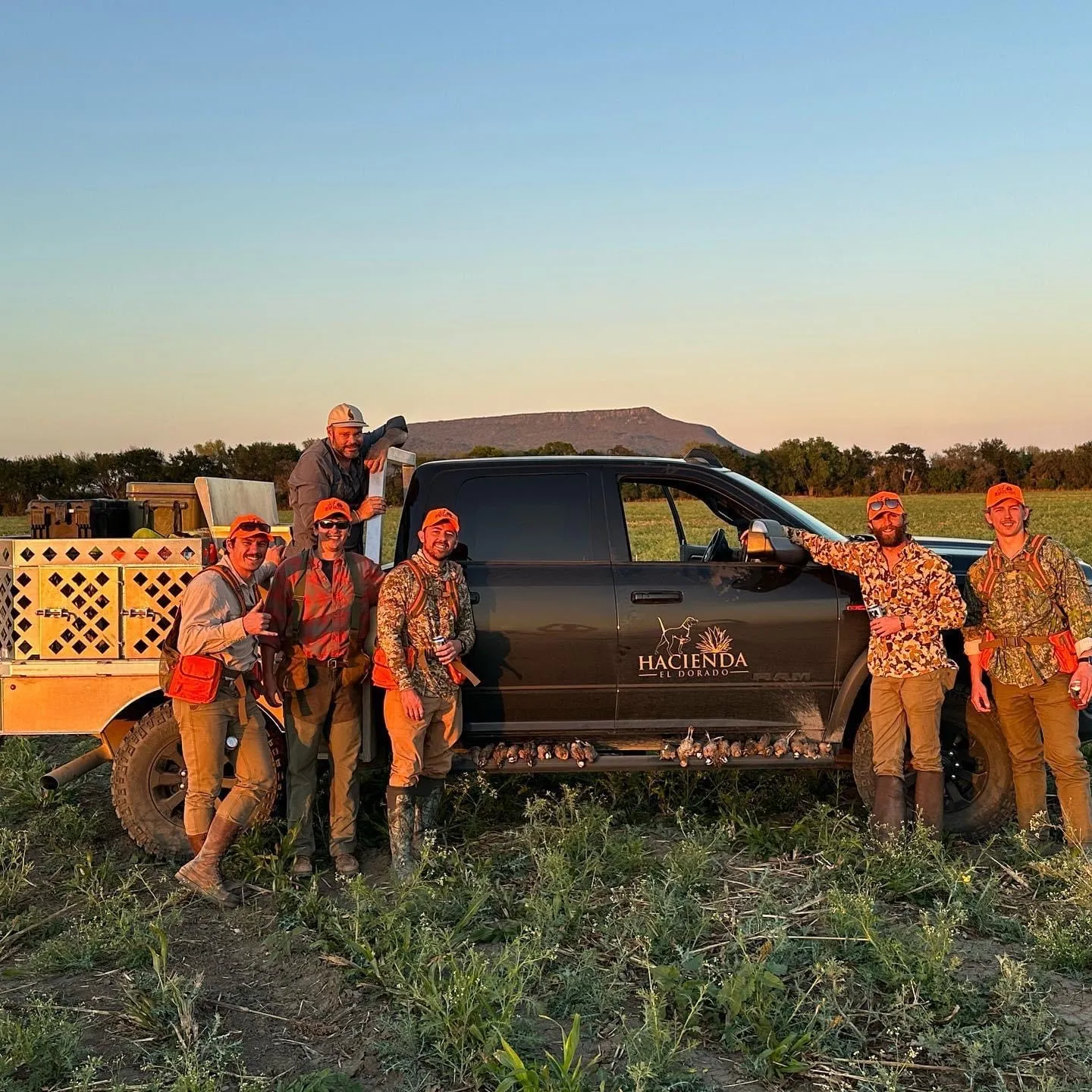 Wild Quail Hunt