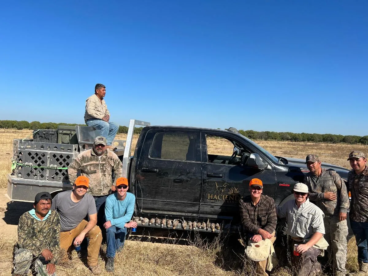 Wild Quail Hunt — photo 3