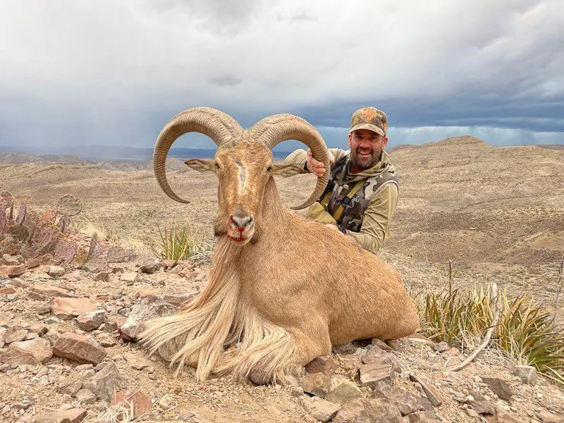 7 Day DIY West Texas Aoudad Hunt