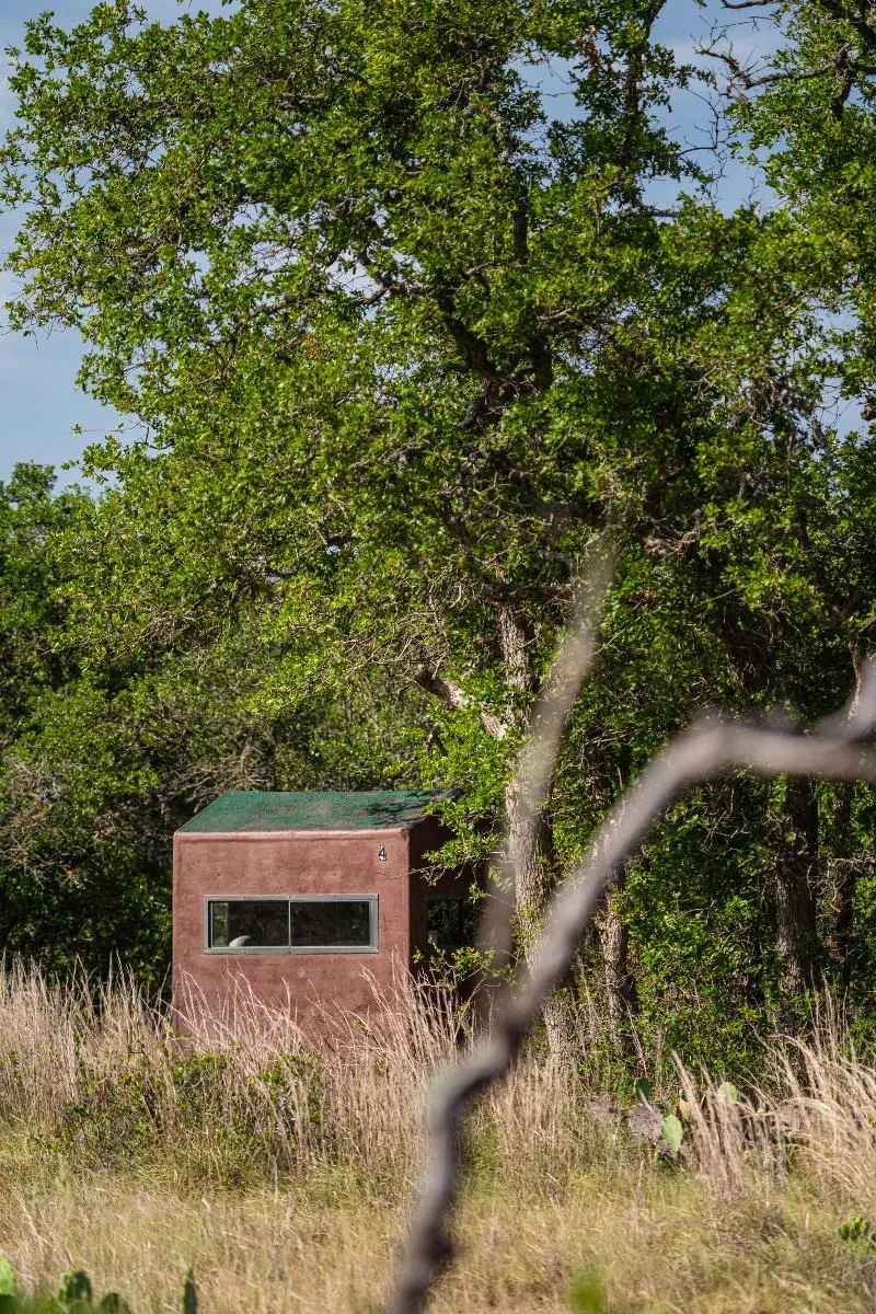 Big Buck Hunt — photo 2