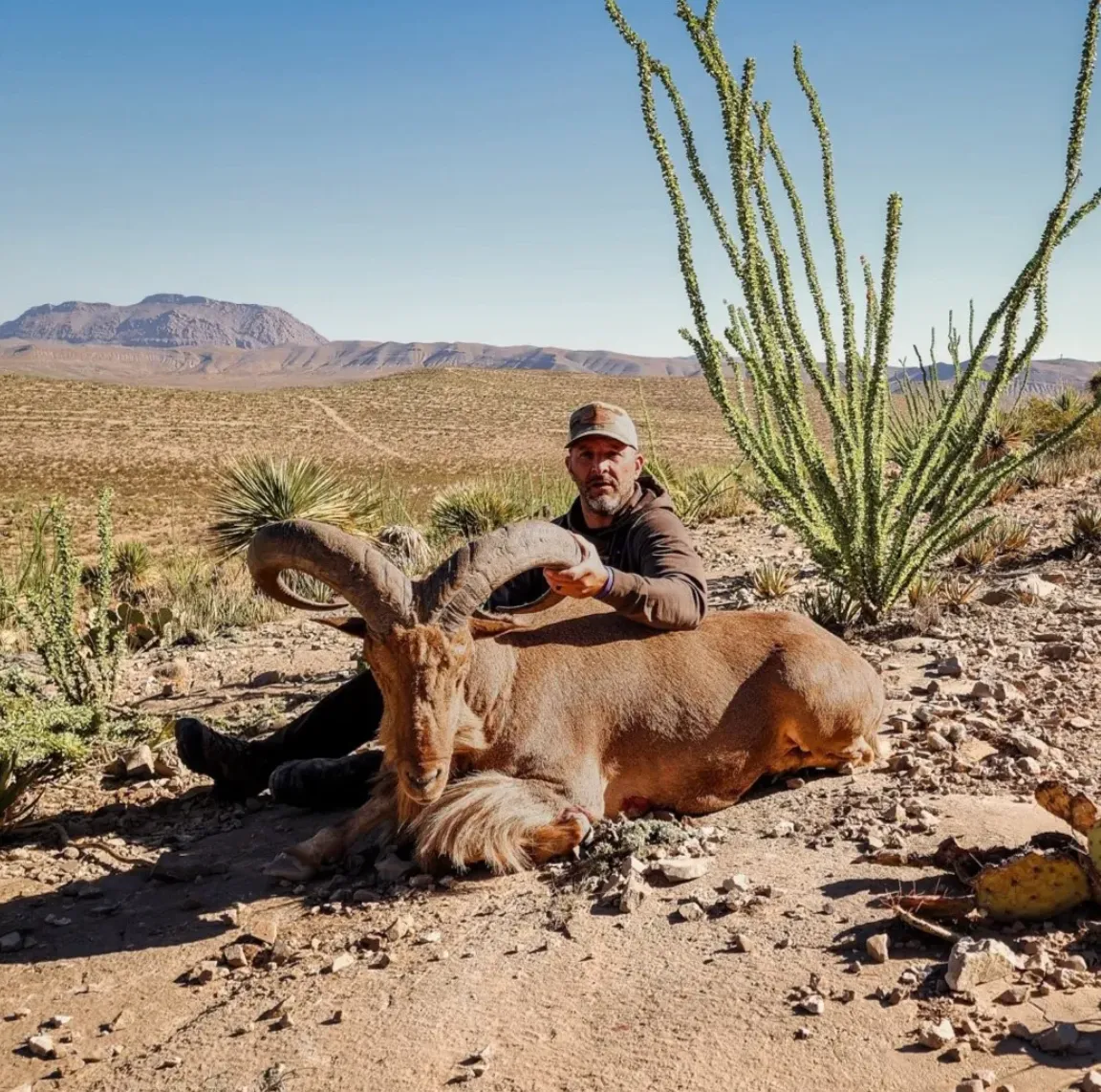 Trophy Semi-guided Aoudad Hunt - 4 Day