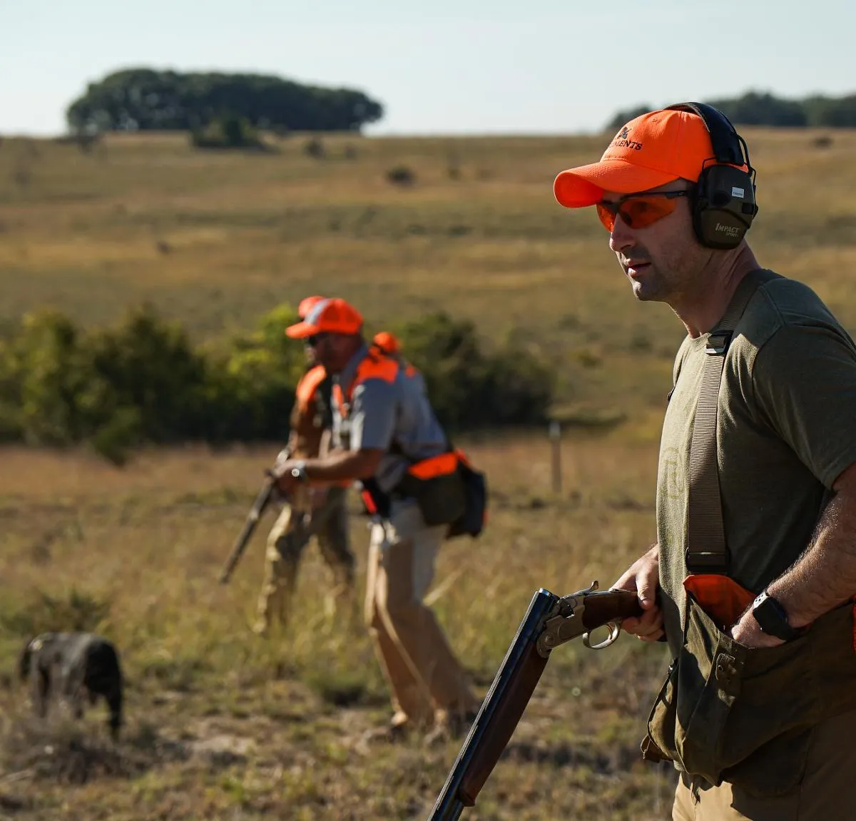 Day Quail Hunts — photo 2