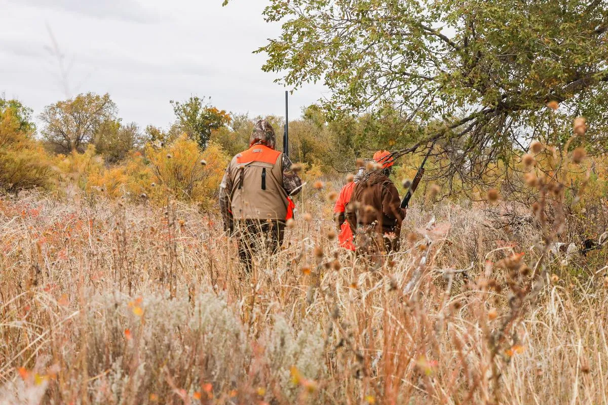 Day Quail Hunts — photo 4