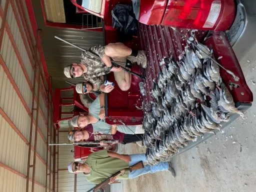 Day Dove Hunt — photo 2