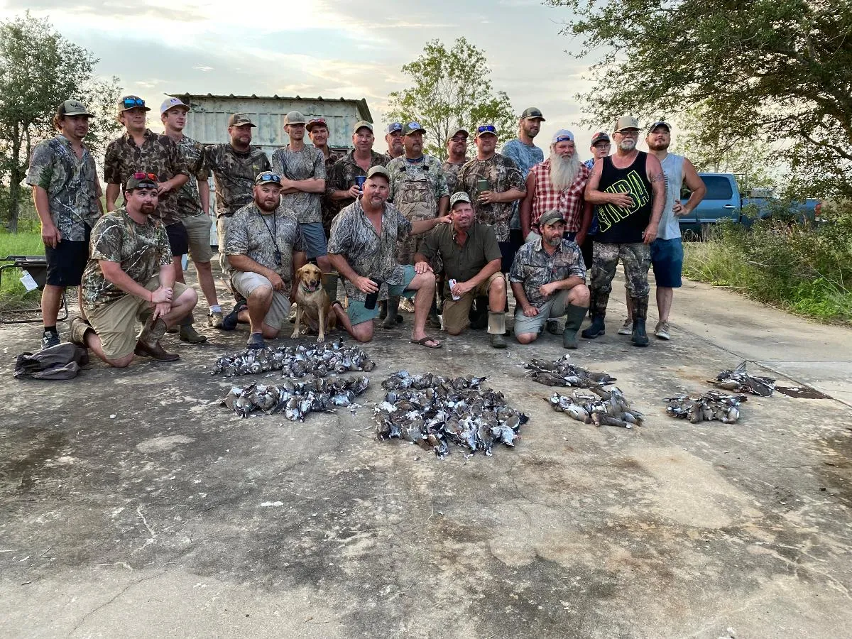 Day Dove Hunt — photo 3