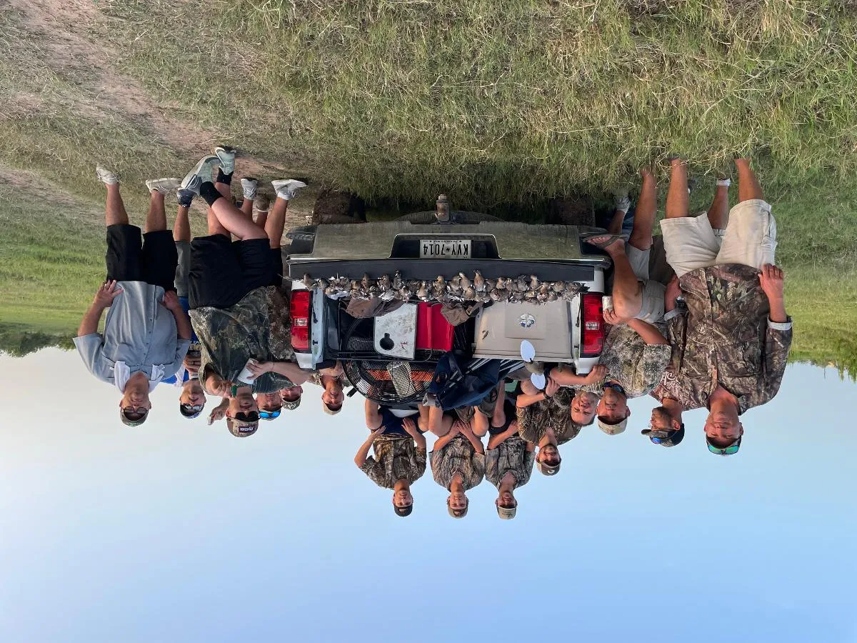 Day Dove Hunt — photo 5