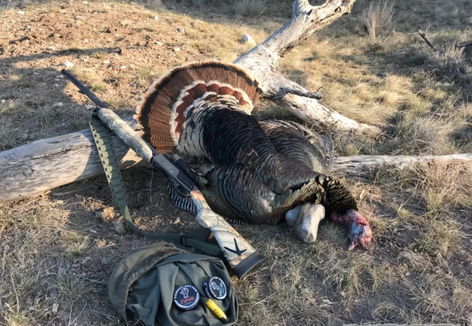 Turkey Hunts Semi-Guided - 2 Day