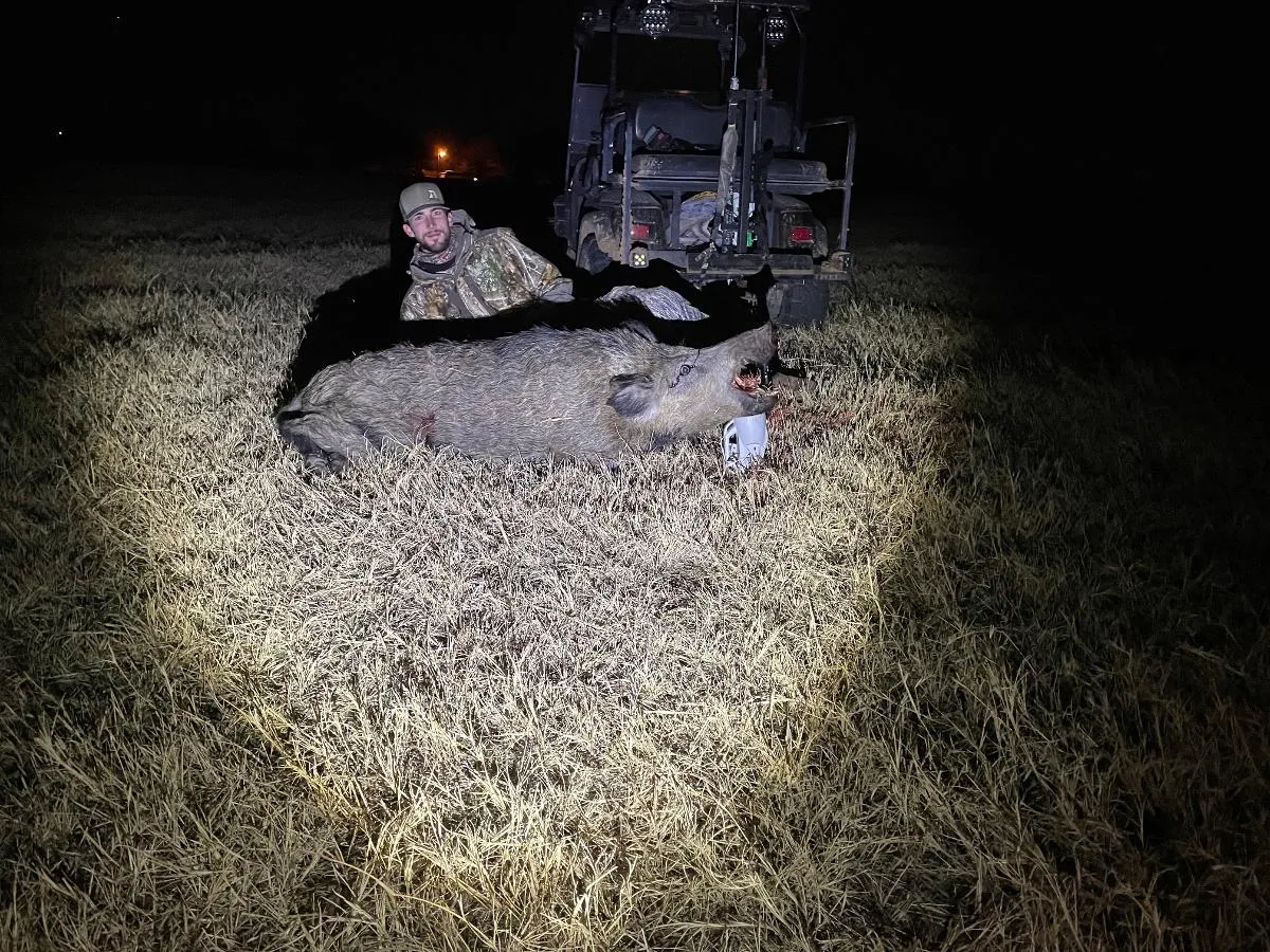 Thermal Hog and Predator Hunt — photo 3