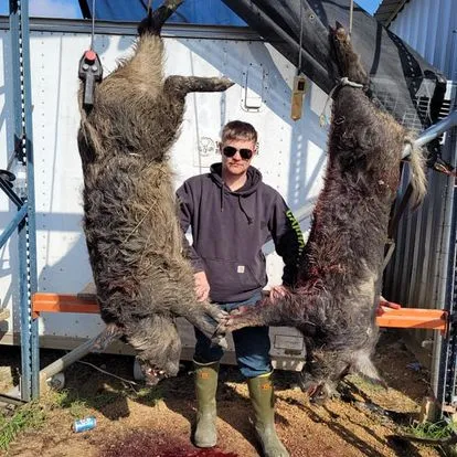Half-Day Guided Hog Hunt — photo 4