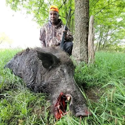 Half-Day Guided Hog Hunt — photo 5