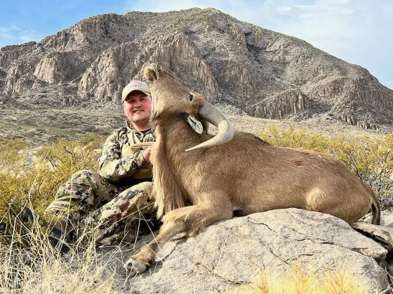 Loma Alta Trophy Aoudad Hunt - 3 Day