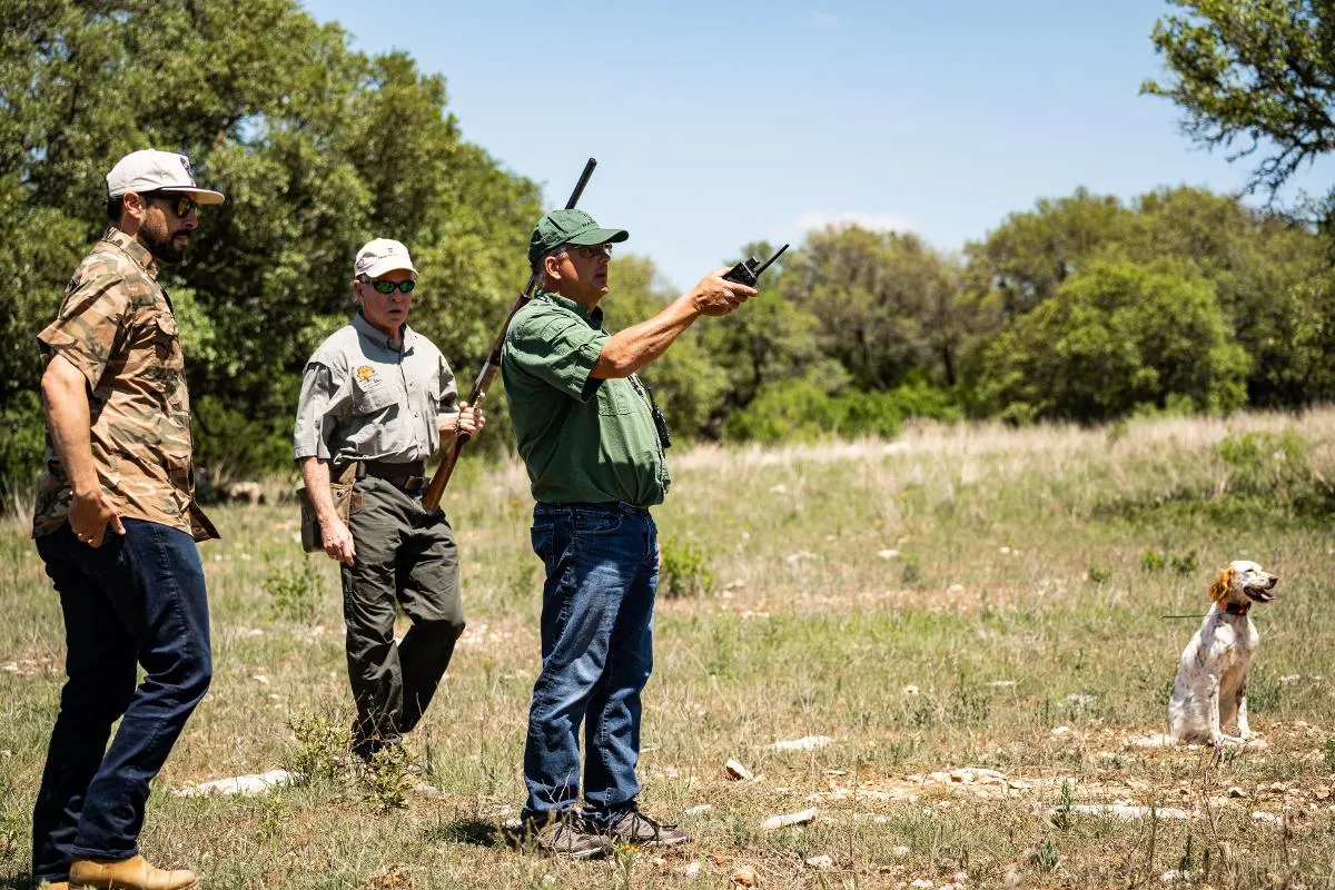 Hill Country Upland Day Hunt