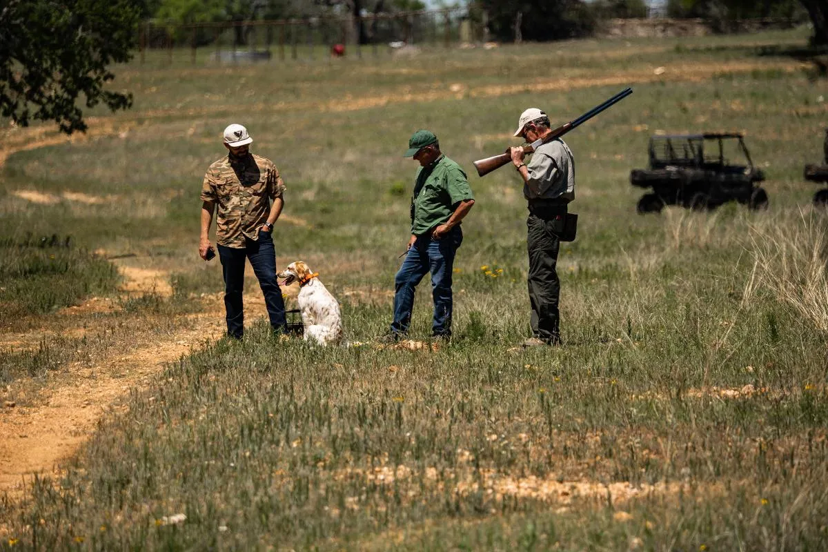 Hill Country Upland Day Hunt — photo 5