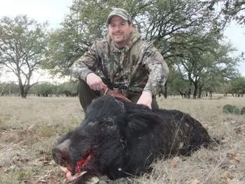 Hog Hunt