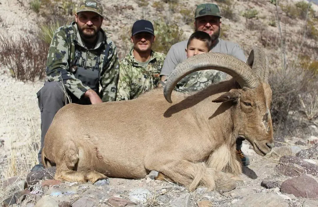 Trophy Aoudad Hunt - 3 Day — photo 3