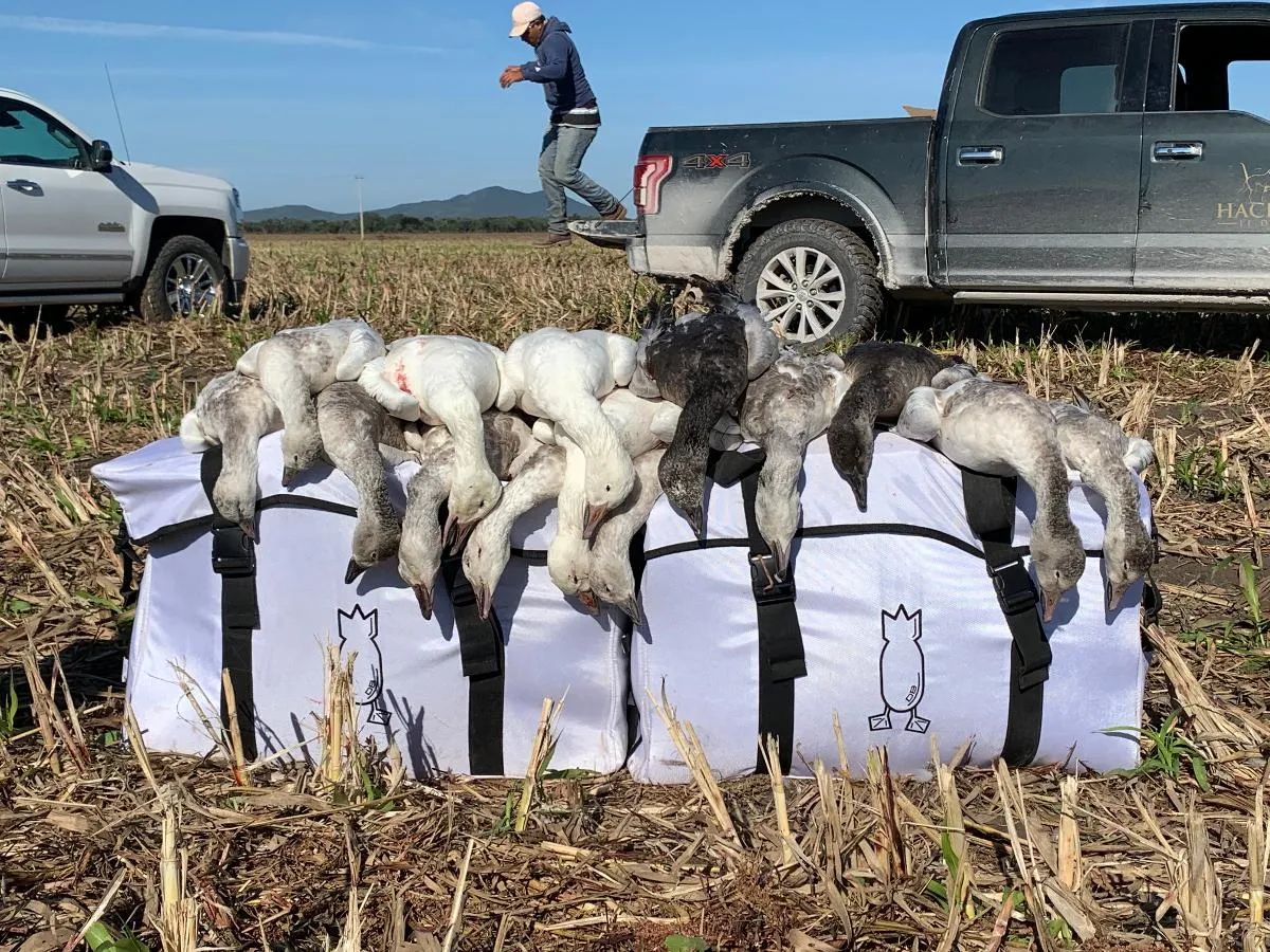 Mixed Bag Shootout — photo 3