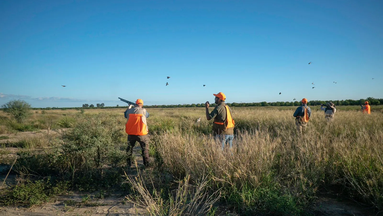 Mixed Bag Shootout — photo 5