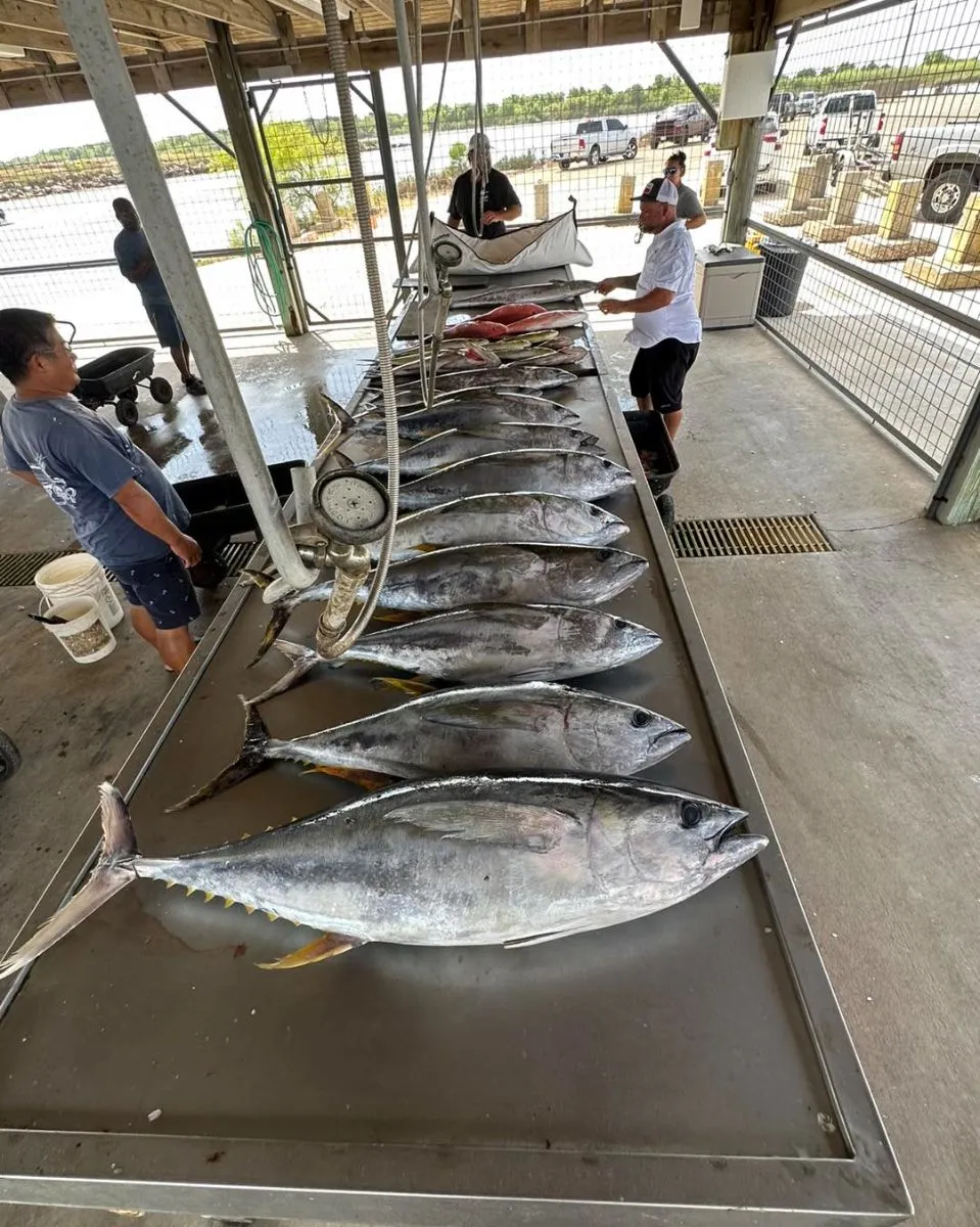 Offshore Fishing Bonanza — photo 2