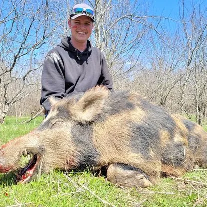 2-Day Guided Hog Hunt — photo 2