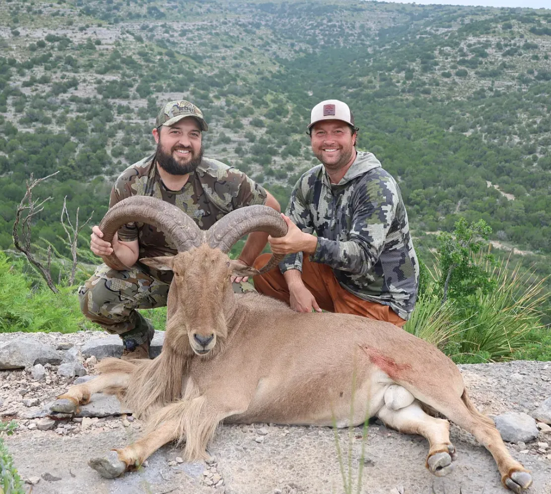 Trophy Aoudad Hunts - 3 Day Hunt / 3x1 guided