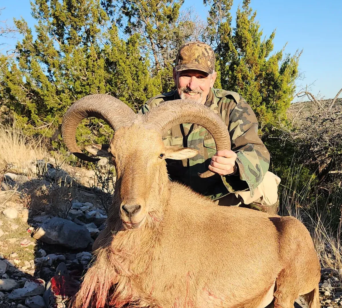 Trophy Aoudad Hunts - 3 Day Hunt / 3x1 guided — photo 3