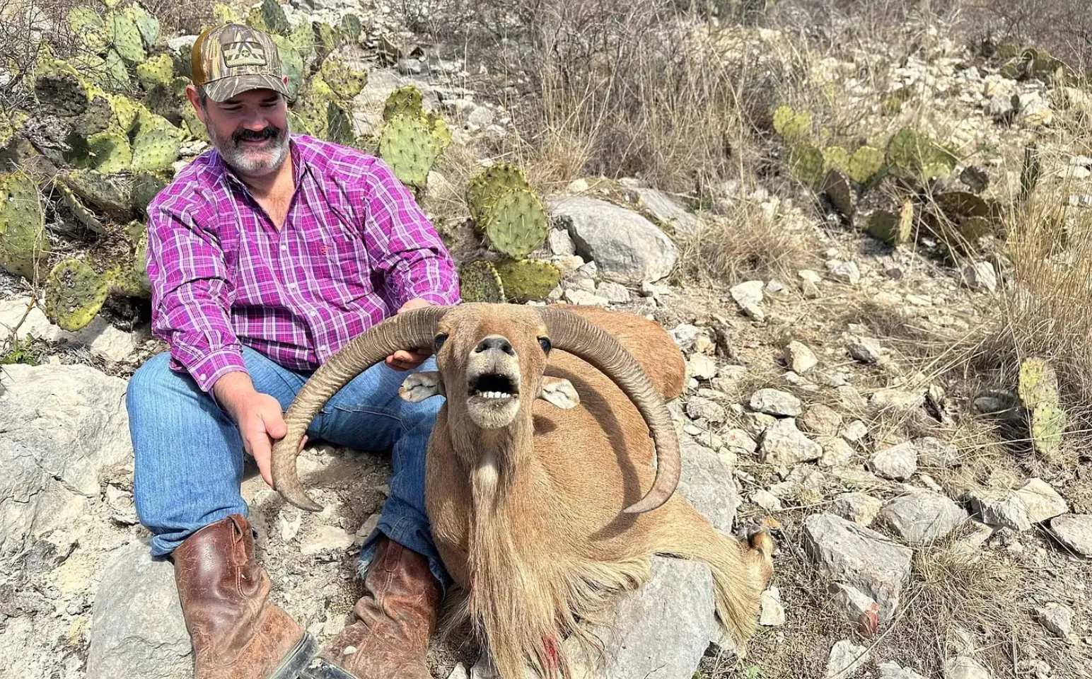 Trophy Aoudad Hunts - 3 Day Hunt / 3x1 guided — photo 5