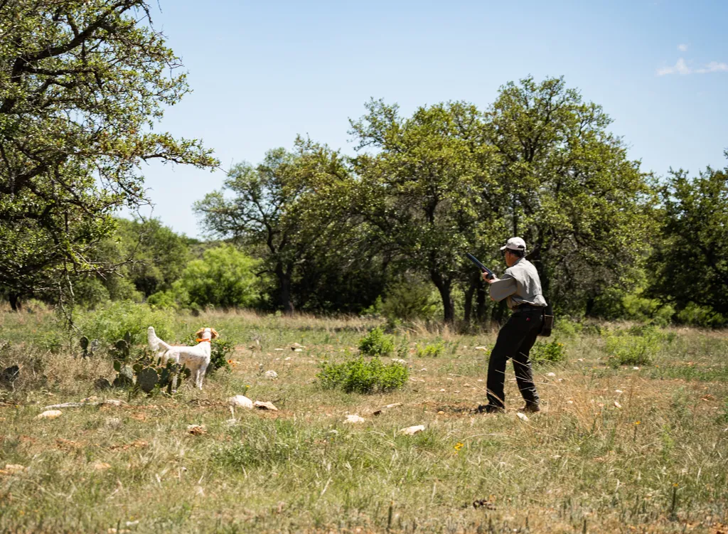 2-Day Hill Country Upland Hunt — photo 5