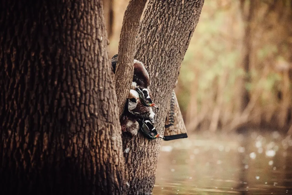 Elite Skyfall Waterfowl Package — photo 4