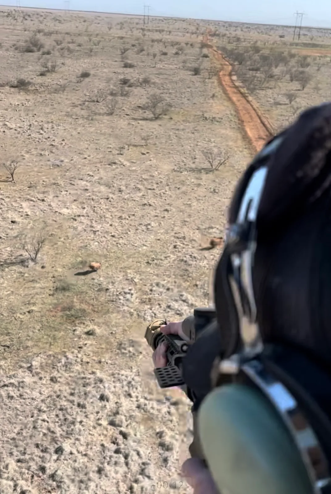2-Hour Helicopter Hog Hunt — photo 3