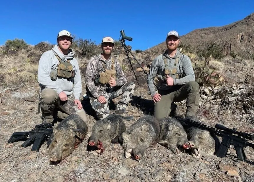 Hog and Javelina Hunts — photo 3