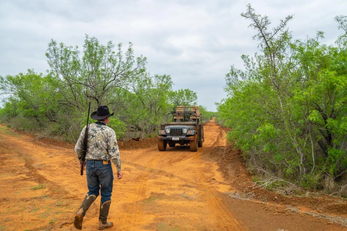 South Texas Trophy Buck Hunt — photo 2