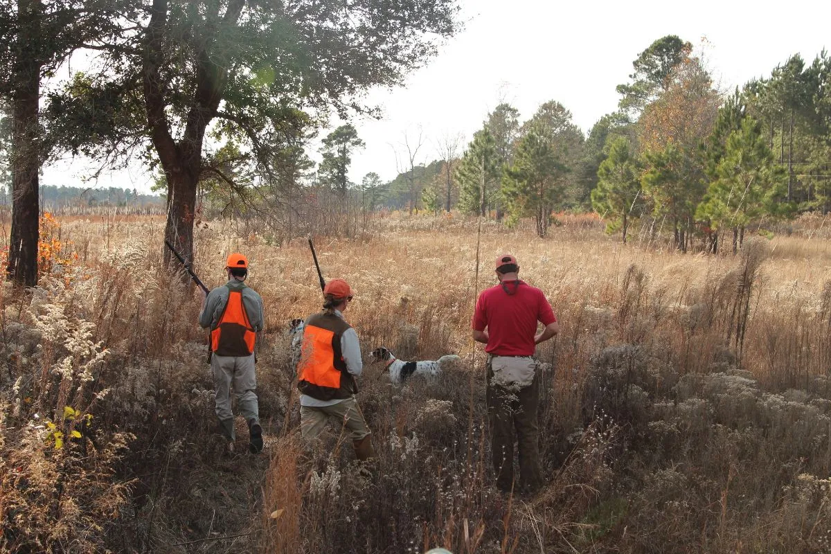 Live Oak Hunt