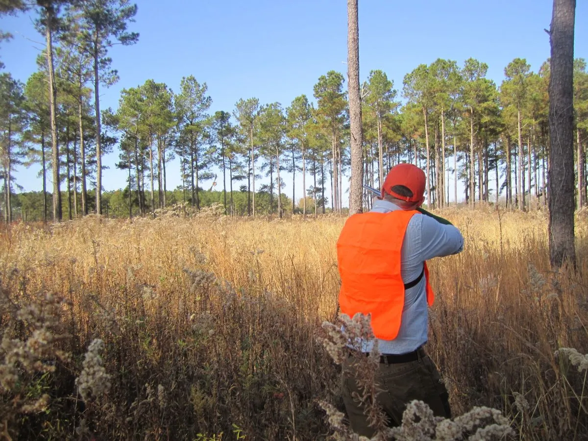 Live Oak Hunt — photo 2