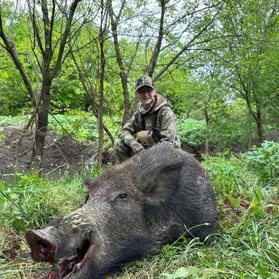 1-Day Guided Hog Hunt — photo 2