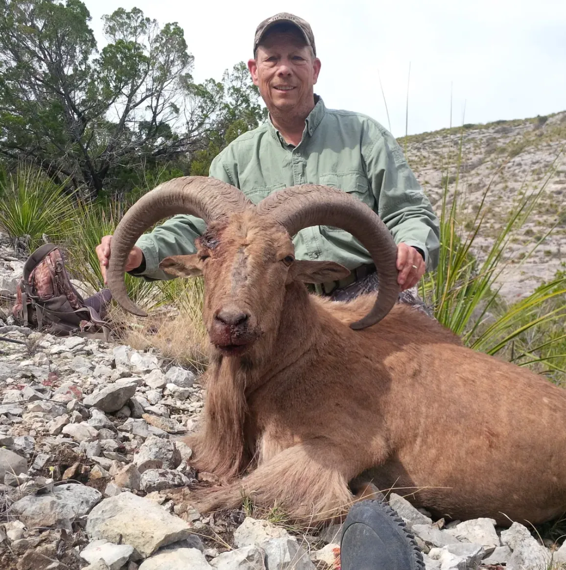 3-Day Trophy Aoudad Hunt 2x1 Guided