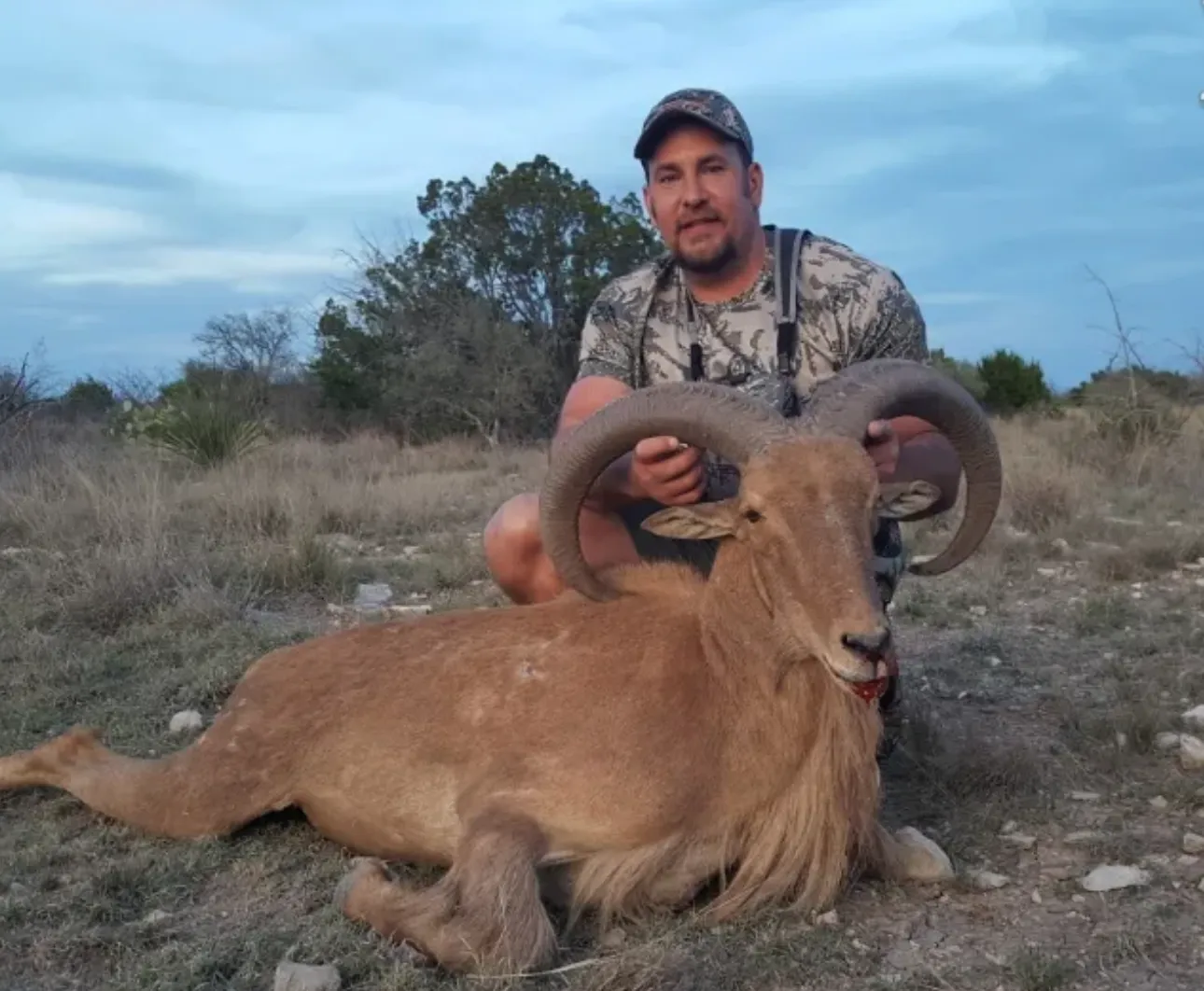 3-Day Trophy Aoudad Hunt 2x1 Guided — photo 5
