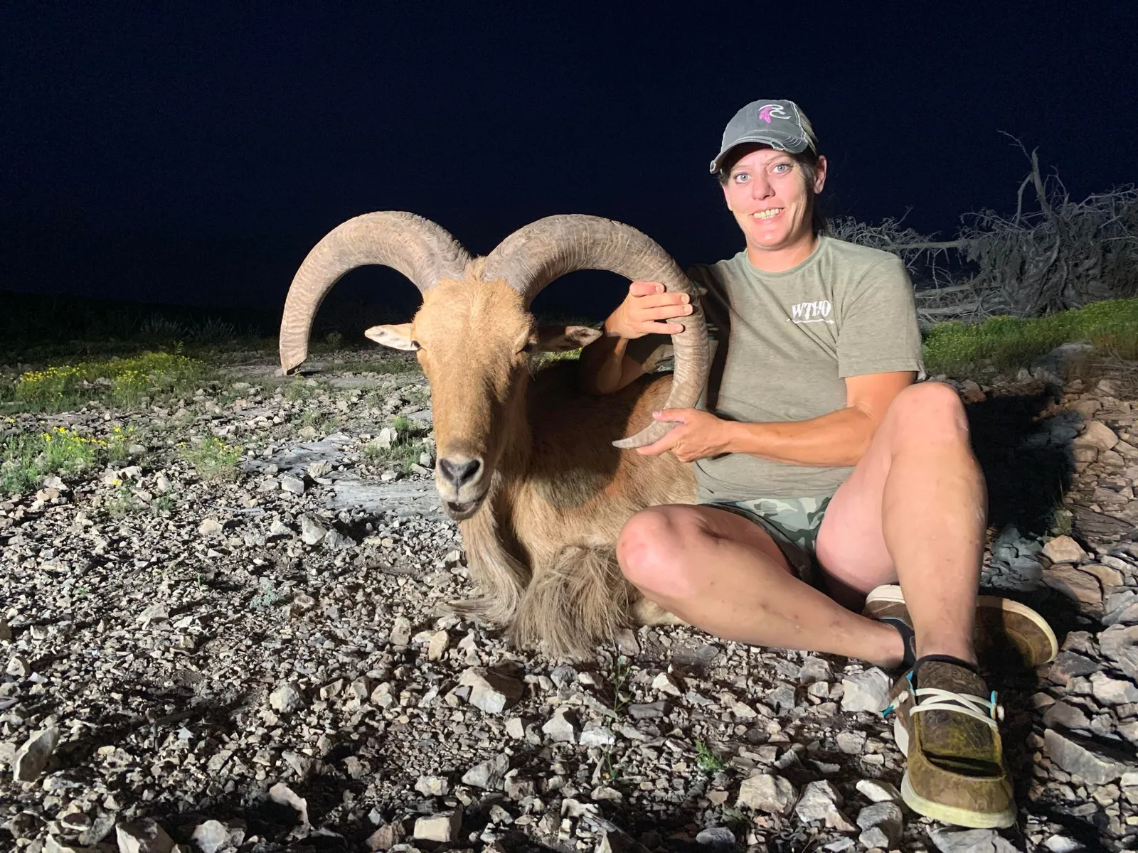 Loma Alta Trophy Aoudad Hunt - 4.5 Day