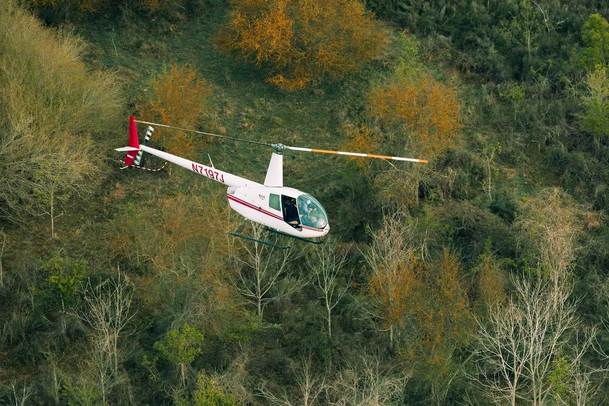 Gulf Coast Helicopter Hog Hunt — photo 4
