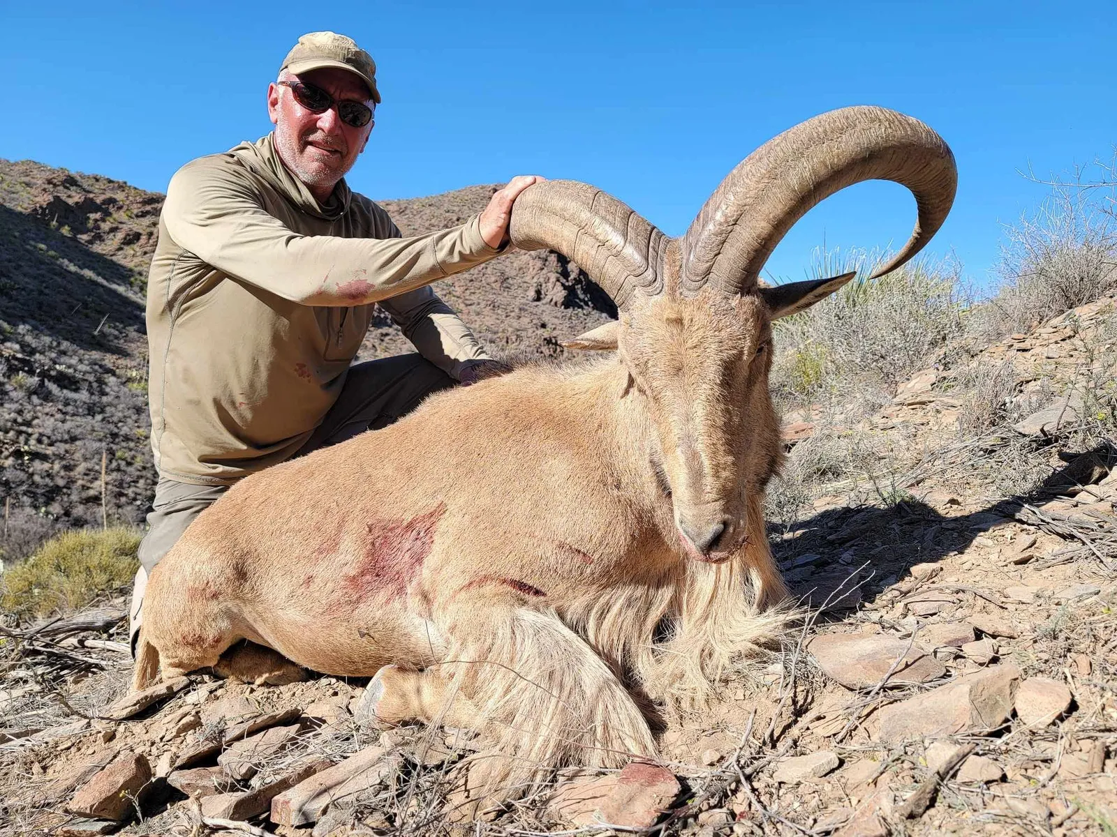 Guided Aoudad - 4 day