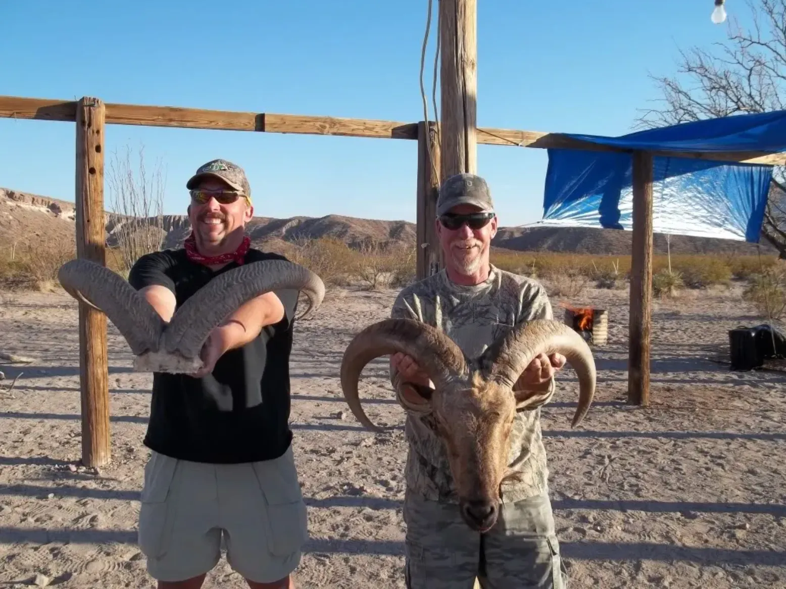 7-Day DIY Trophy Aoudad Hunt — photo 4