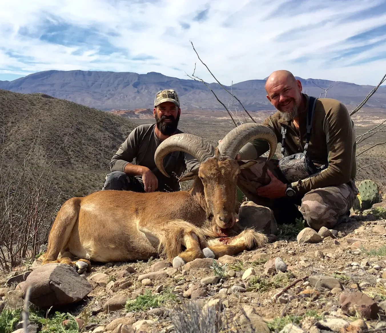 7-Day DIY Trophy Aoudad Hunt — photo 5