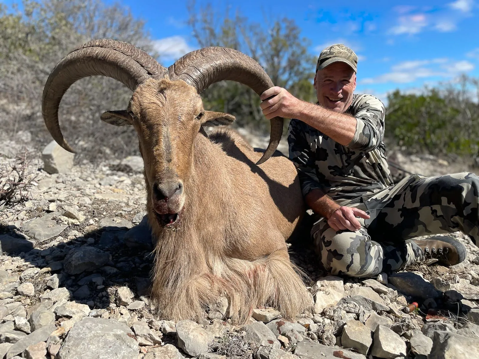 Trophy DIY Aoudad Hunts - 7 day — photo 1
