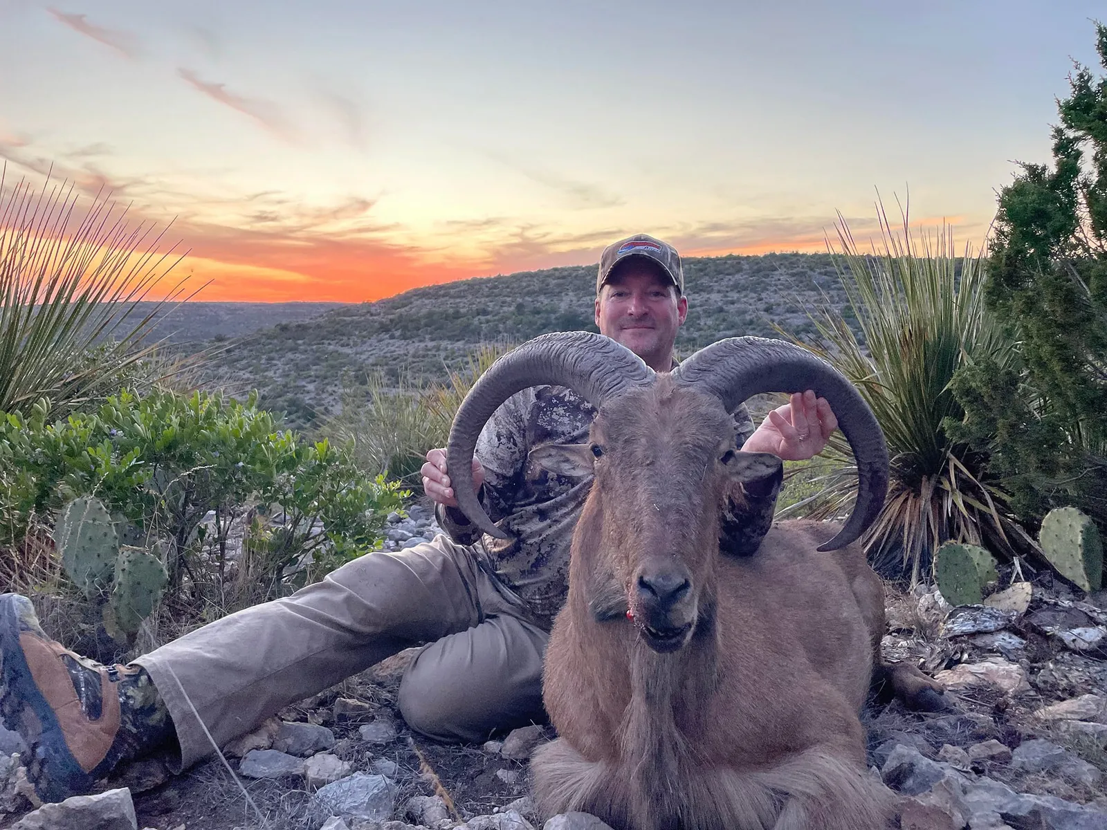 Trophy Aoudad Hunts - 4.5 Day Hunt / 2x1 guided — photo 1