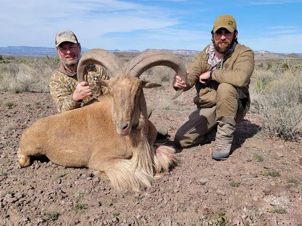Trophy Aoudad Hunts - 4 Day Hunt / Semi-guided — photo 1