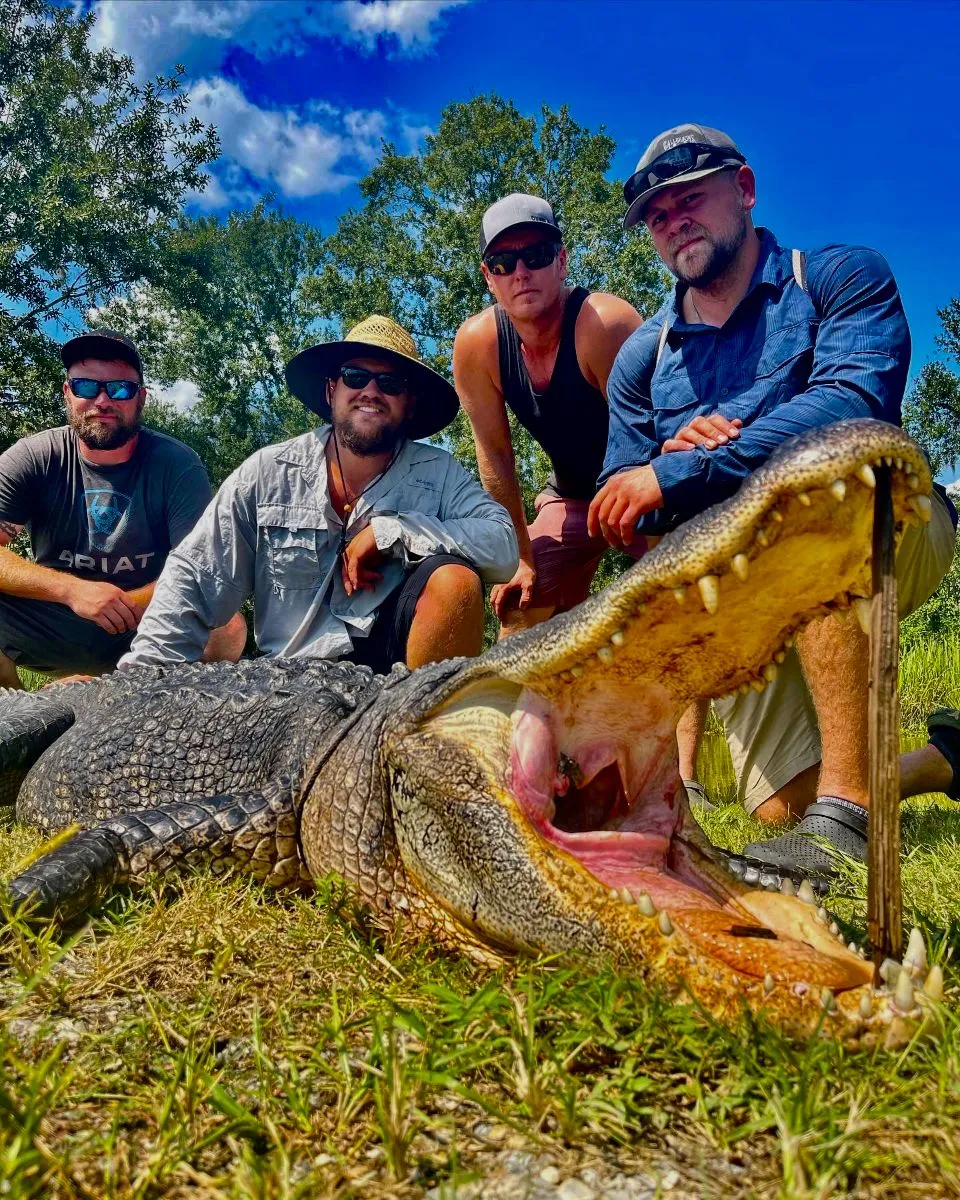 Alligator Swamp Hunting — photo 1