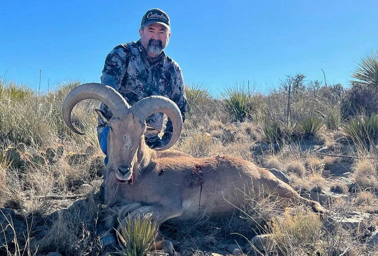 Trophy Aoudad Hunt - 3 Days — photo 1