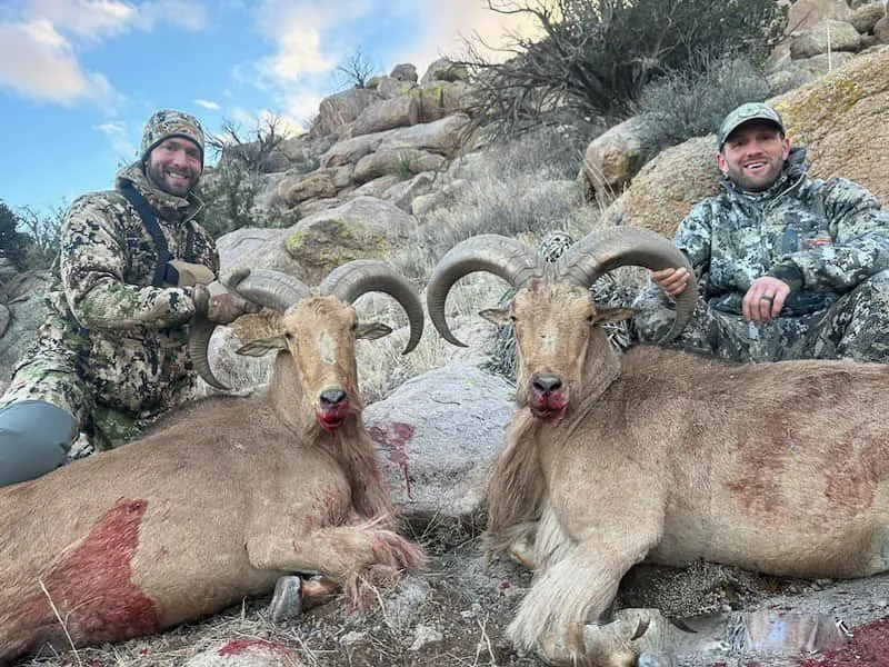 3 Day Guided Aoudad Hunt