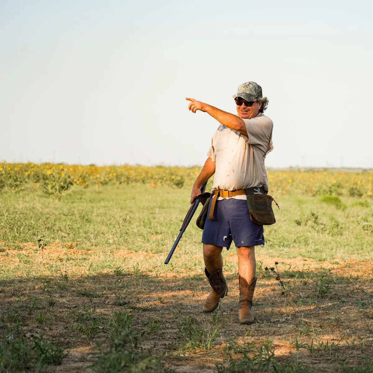 Day Dove Hunt