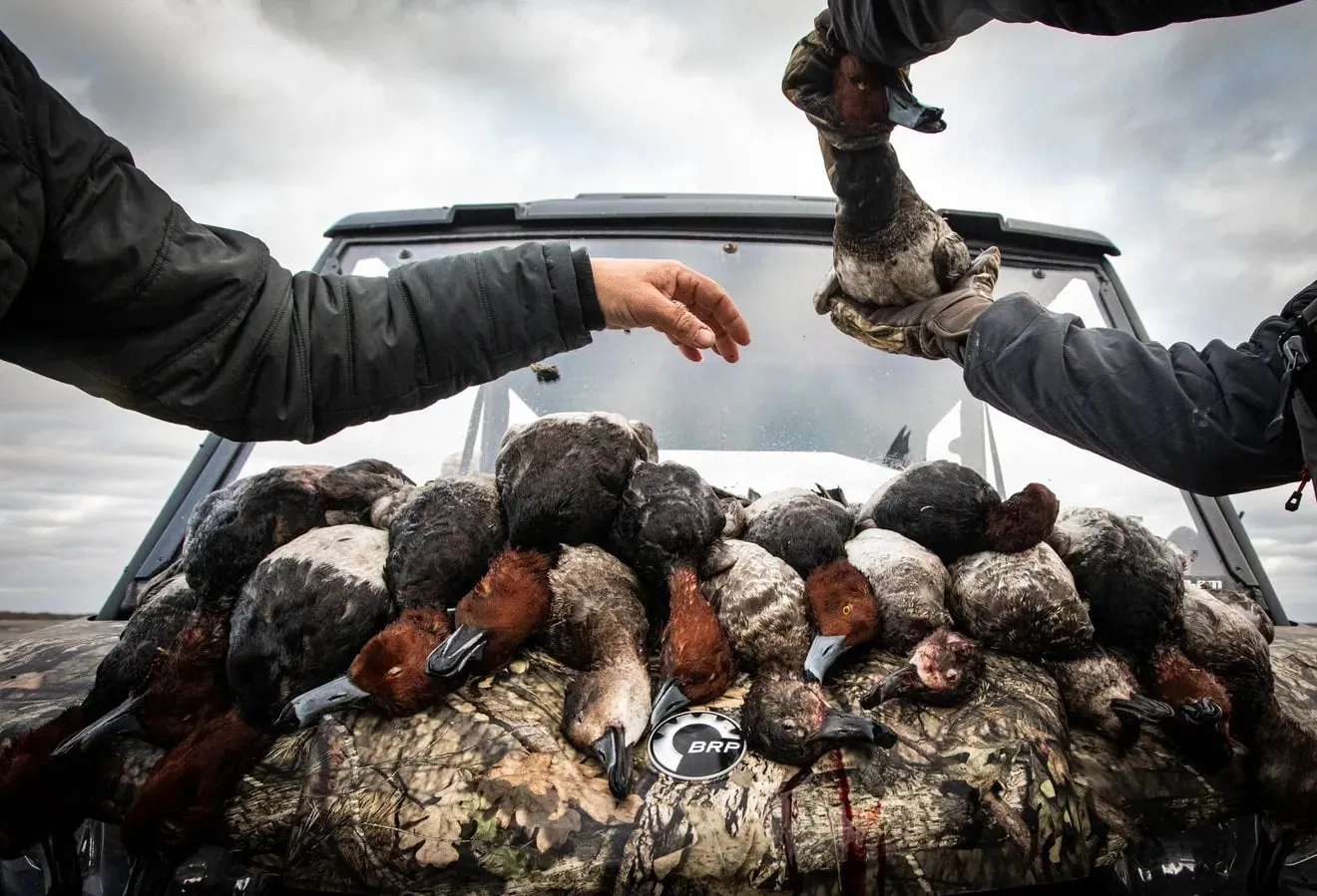 La Pesca Duck Hunting