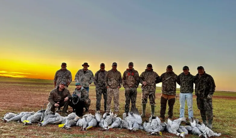 Premium Goose Hunt